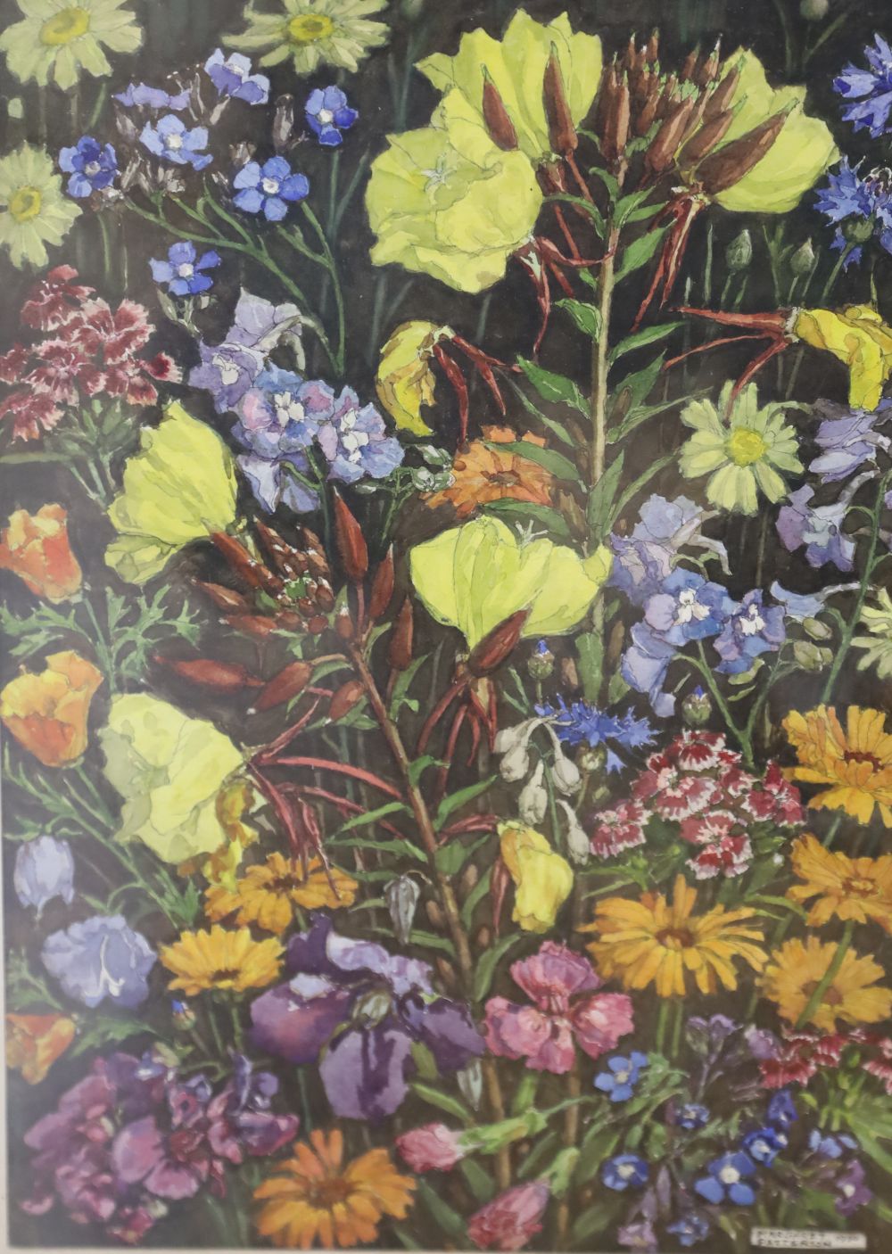 Margaret Patterson, watercolour, Flower study, signed and dated 1930, 35 x 25cm